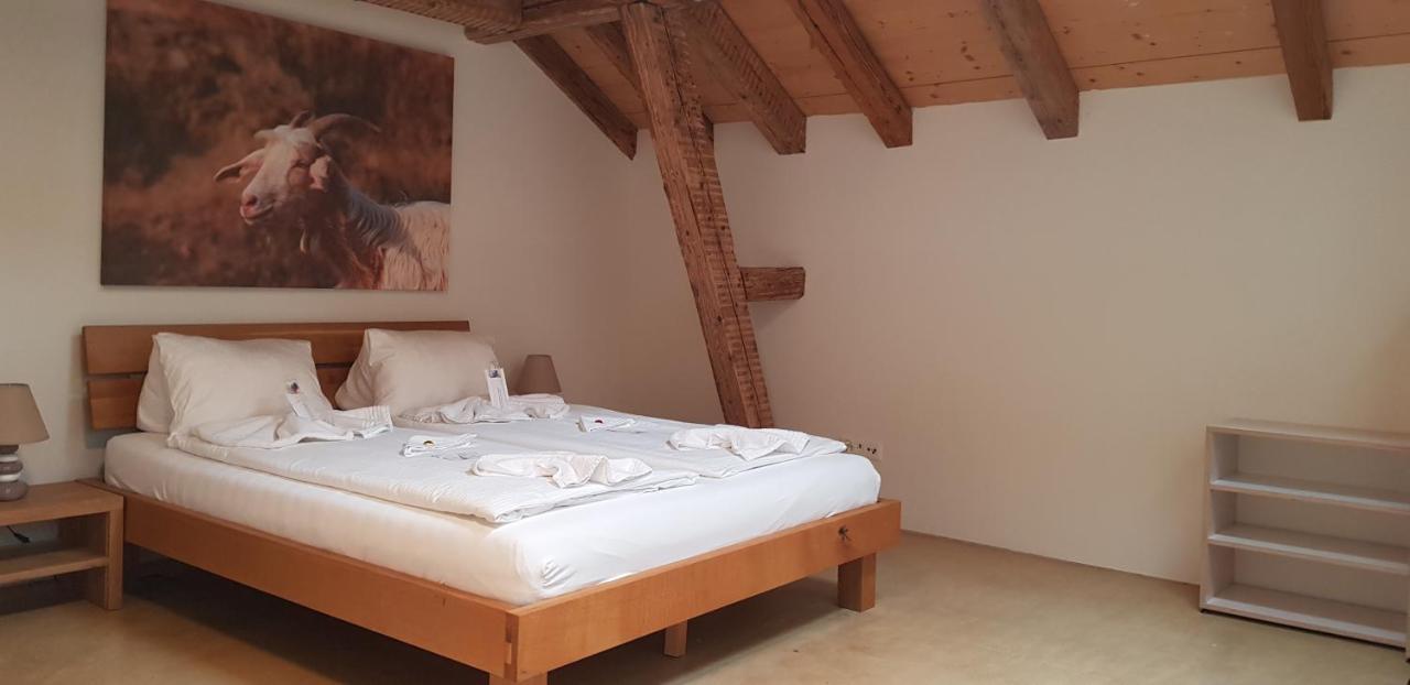 Easy-living Lindenstrasse 21 Apartment *
